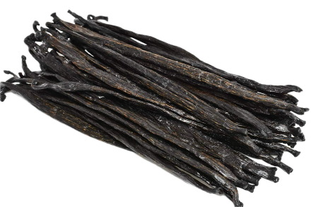 Vanilla Bean