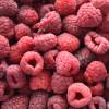 image-FRAMBOISE