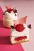 image-prova_gourmet_-_moodshot_-_rhubarbe_entremets_6