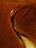 image-prova_gourmet_-_moodshot_-_vanilla_extract_1
